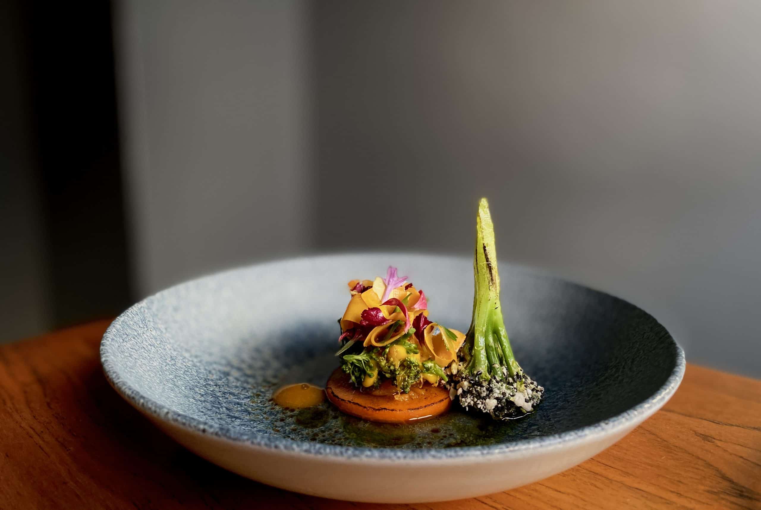 IMG_0226atilhamiterziKopie-scaled