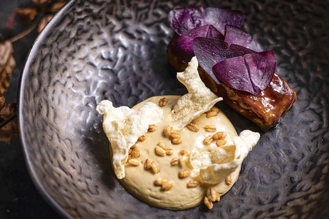 rp270-cotm-schraml-5