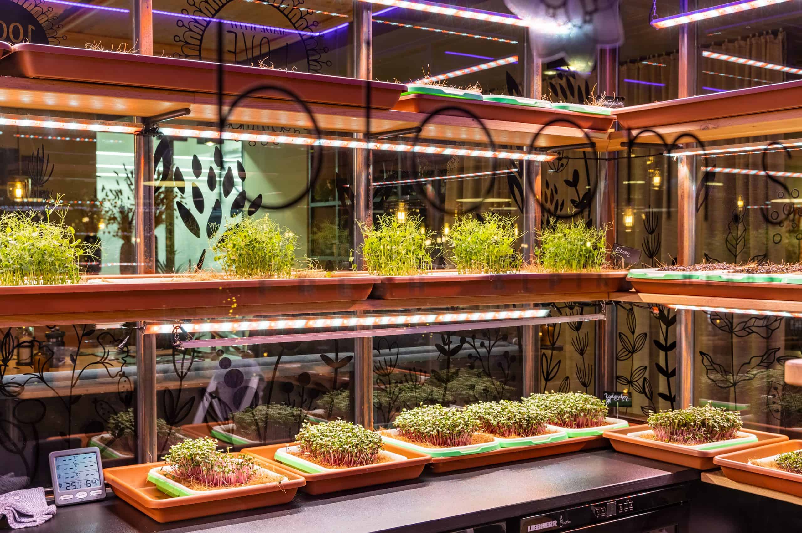 TPB_20230206_TPB0004-scaled