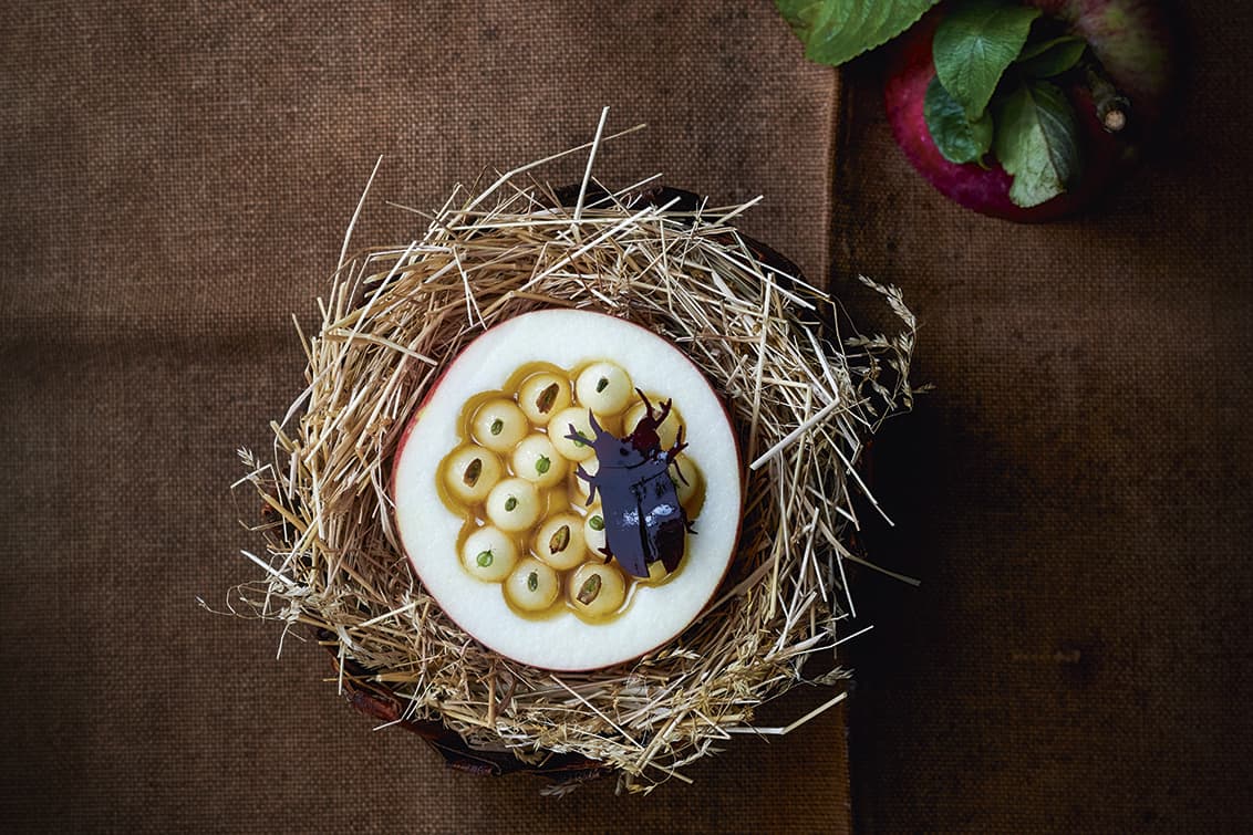 rp272-spst-noma-aus-3