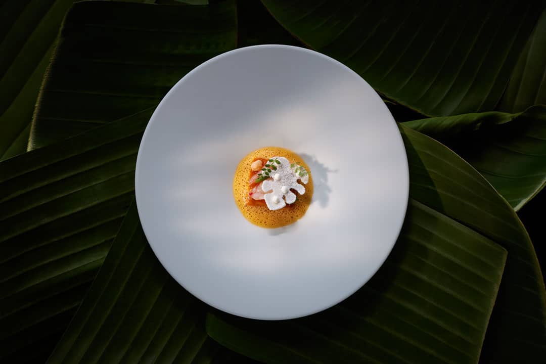 Ocean_Moqueca-Skate-Fish_Credits-Stils-Portugal-2