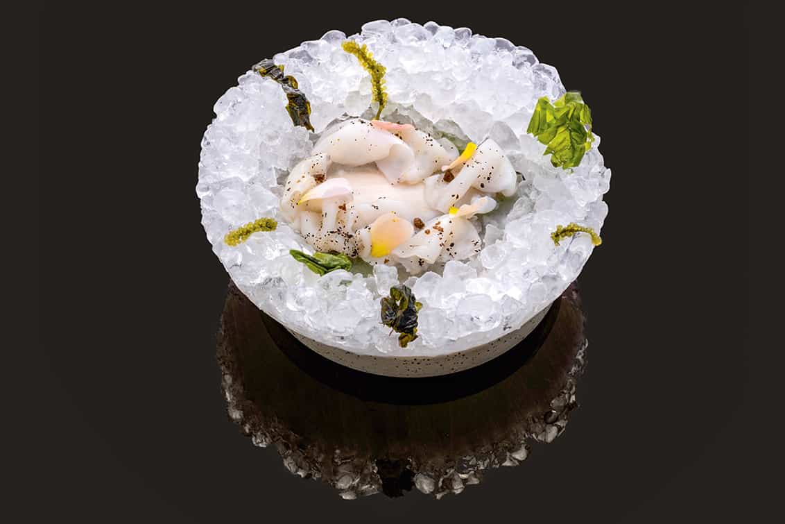 rp275-cotm-Riccardo-Canella-4