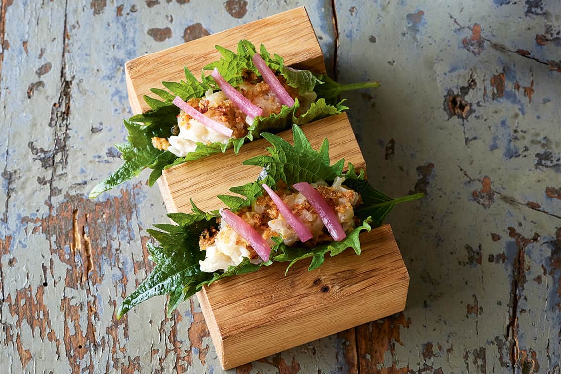 rp277-cotm-Alina-Meissner-Bebrout-4