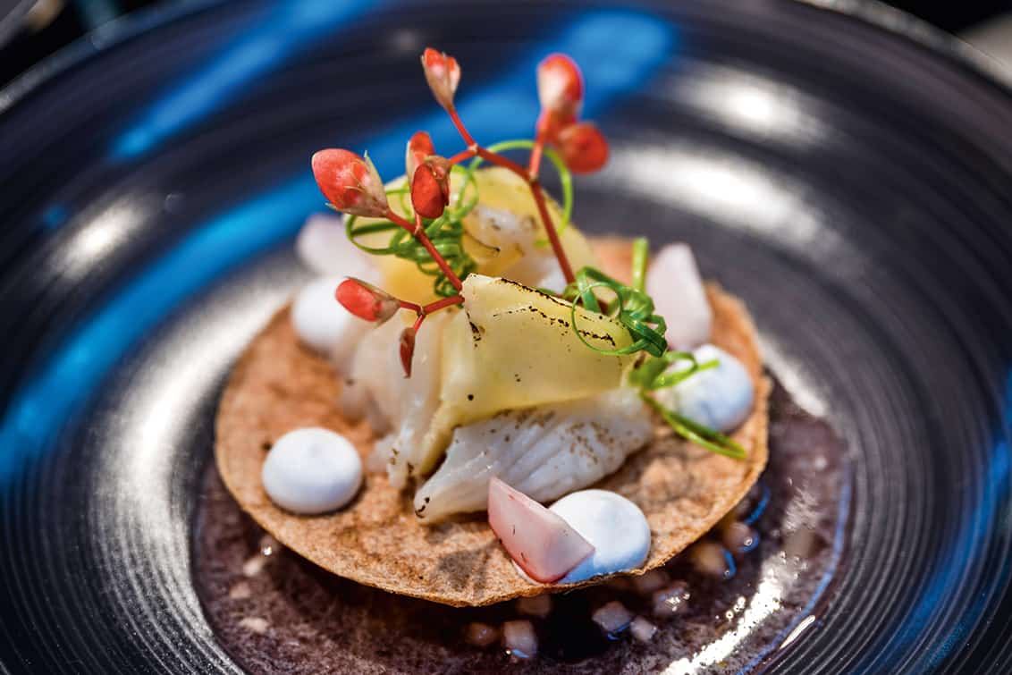 rp277-cs-jungewilde-10