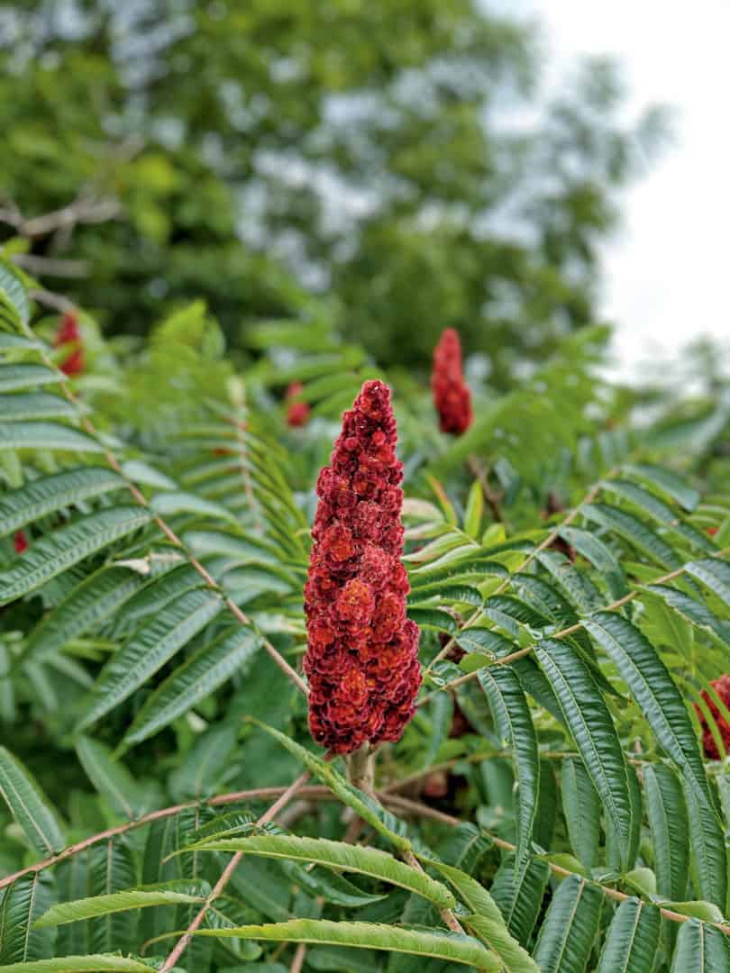 shutterstock-foto-neu