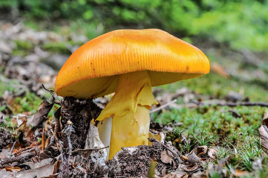 shutterstock_715901164