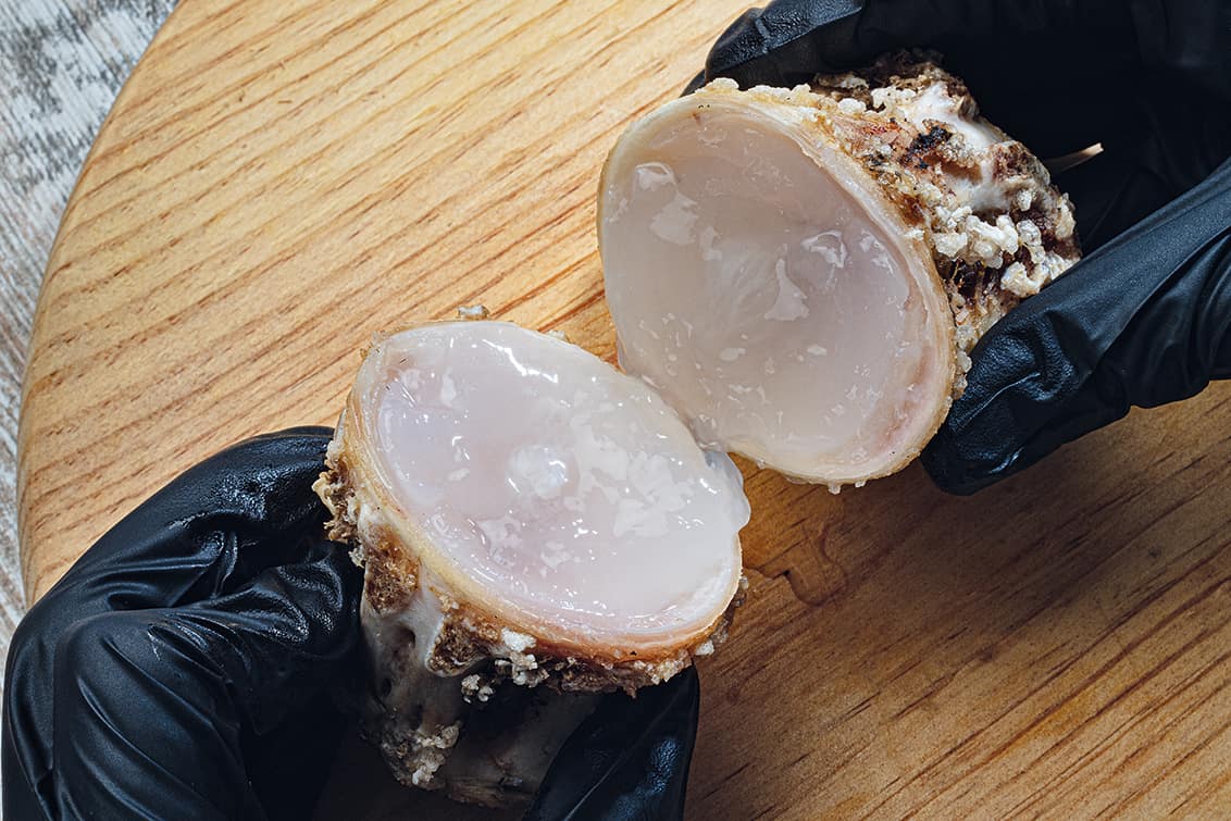 rp280-cotm-disfrutar-6