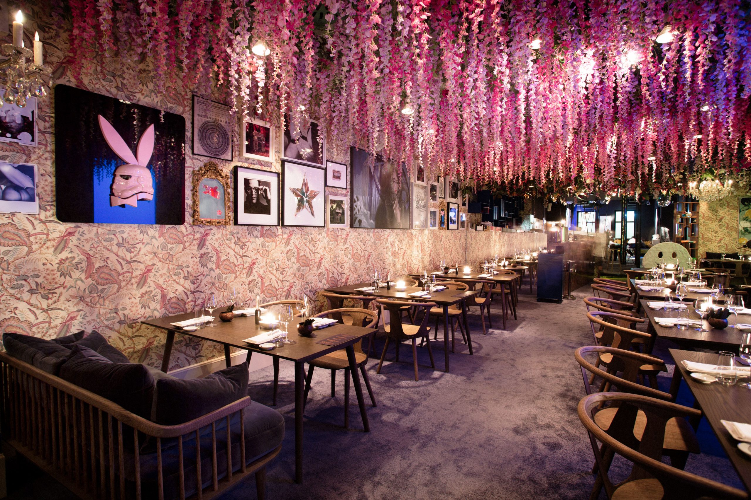 38_dots_establishment-scaled