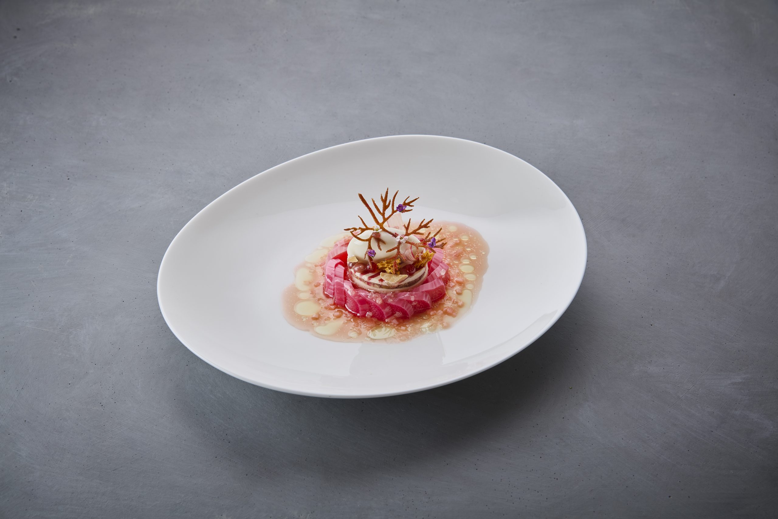 SI202404020395_hires_jpeg_24bit_rgb-scaled