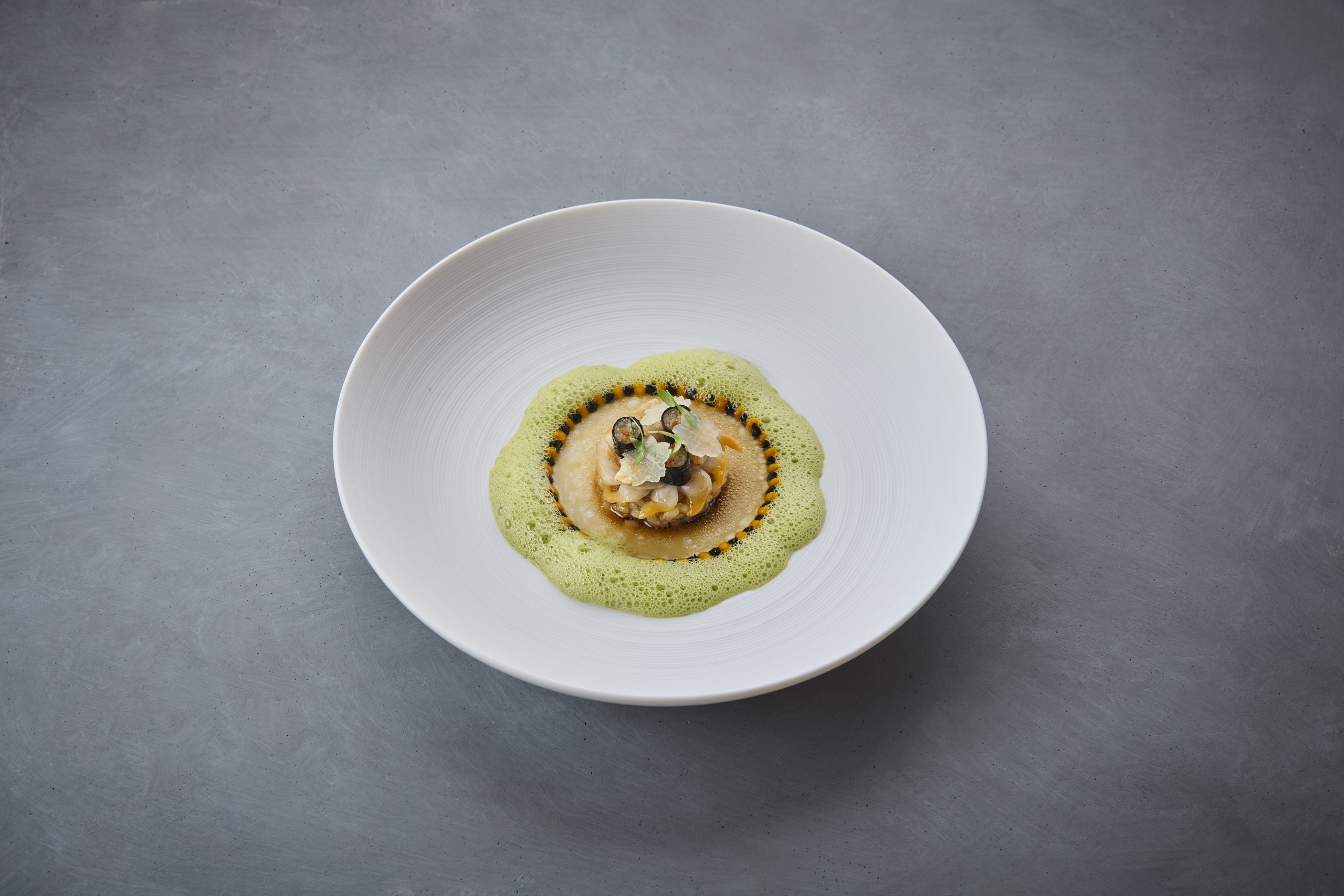 SI202404020404_hires_jpeg_24bit_rgb-scaled