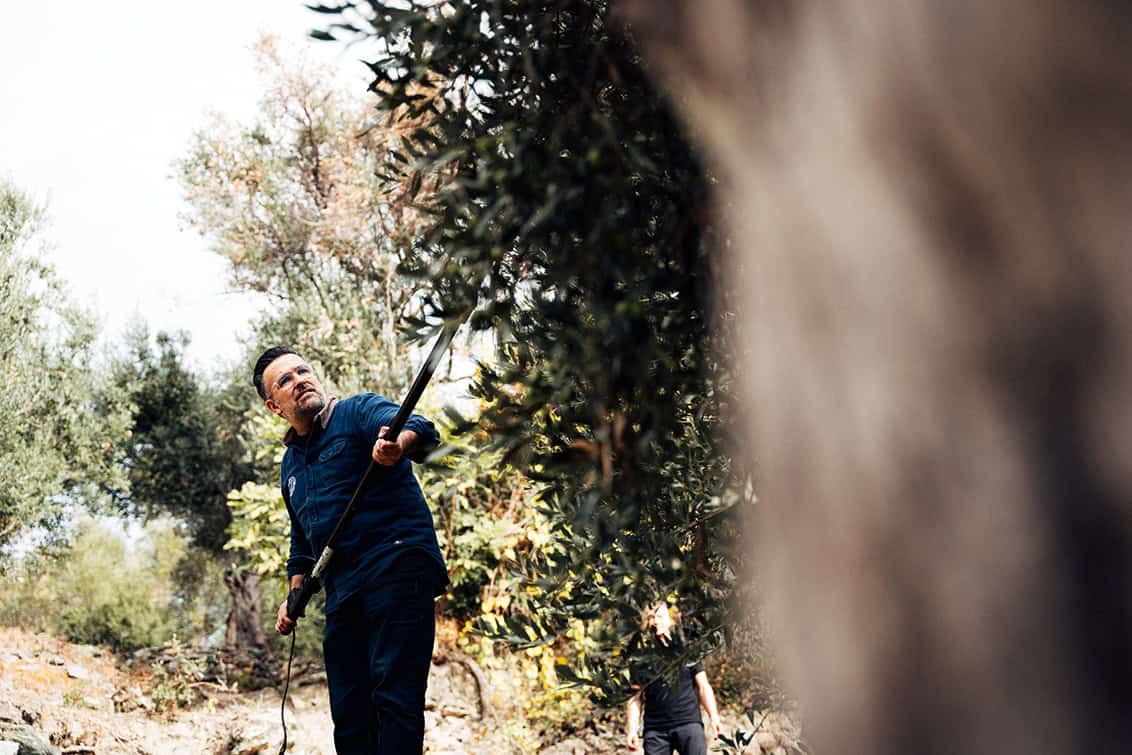 rp287-pr-freakstotable-4