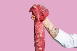 rp287-spst-junge-wilde-7-260x173