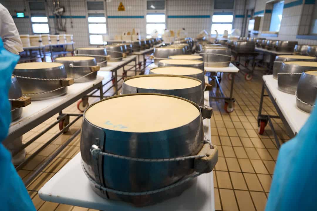 2025.04.01.METRO_Zanetti_DSC00381