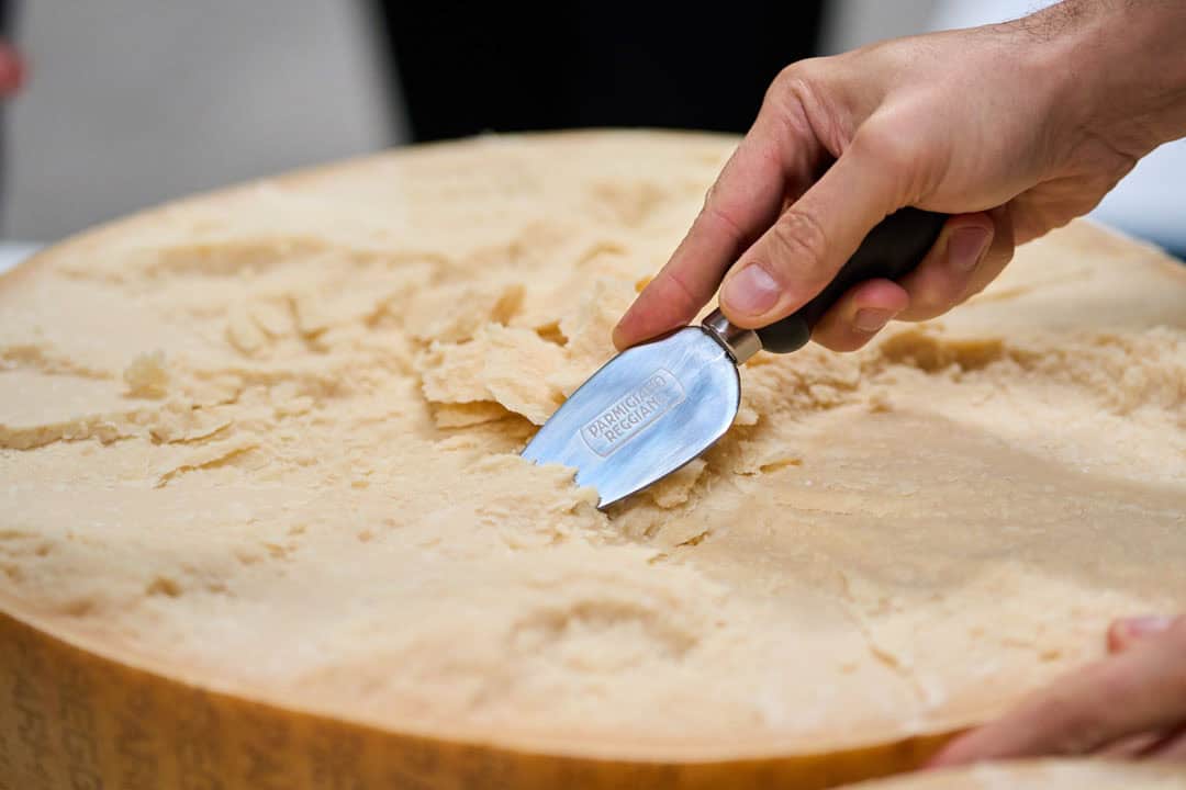 2025.04.01.METRO_Zanetti_DSC00976