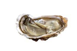 rp288-fb-luxusprodukte-13-260x173