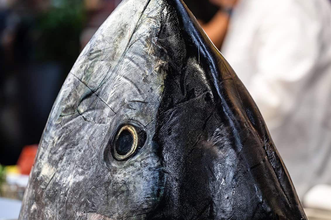 rp291-RPC-Nachbericht-32