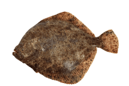 Frische-Paradies_Freisteller_500x500px-260x173