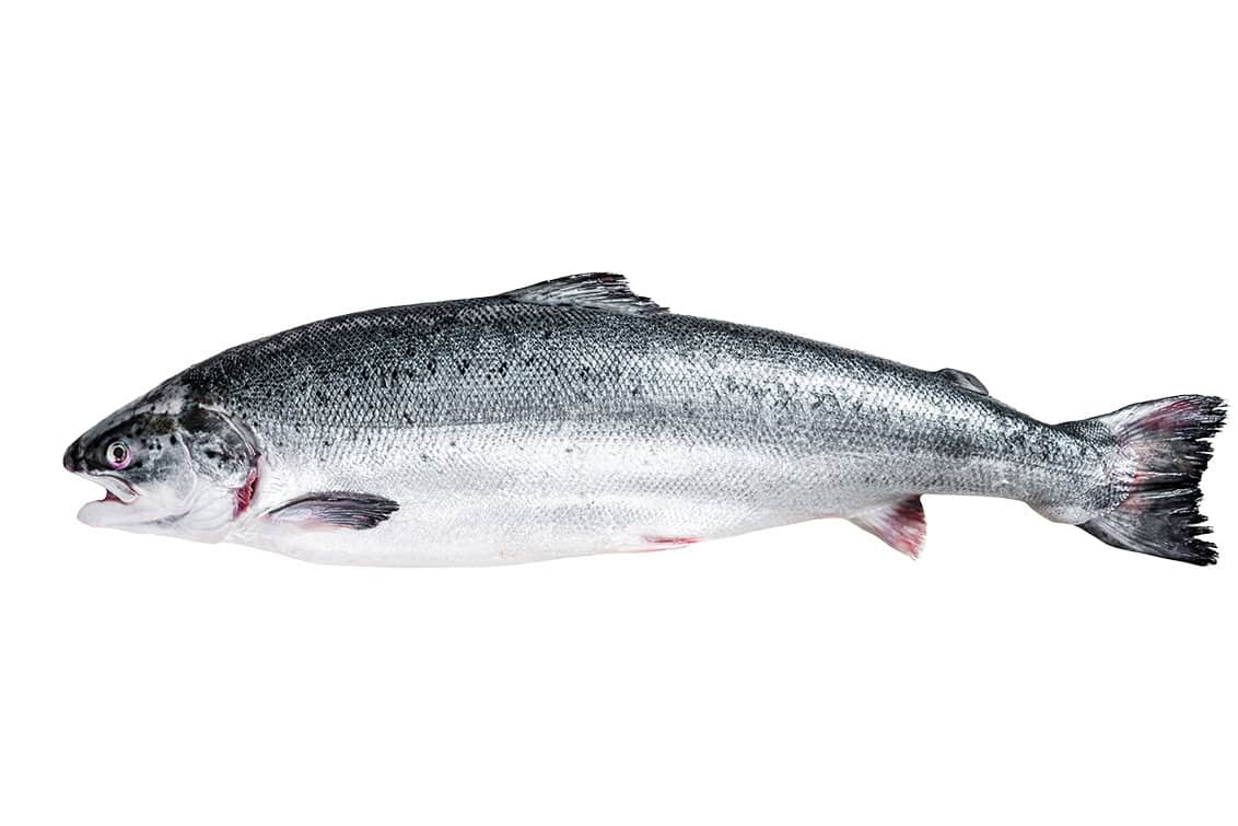 rp292-fb-glaubensfrage-15