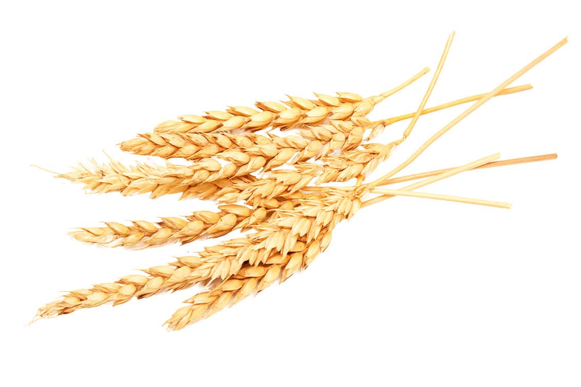 rp292-fb-glaubensfrage-25