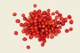 rp293-fb-kambodscha-7-260x173