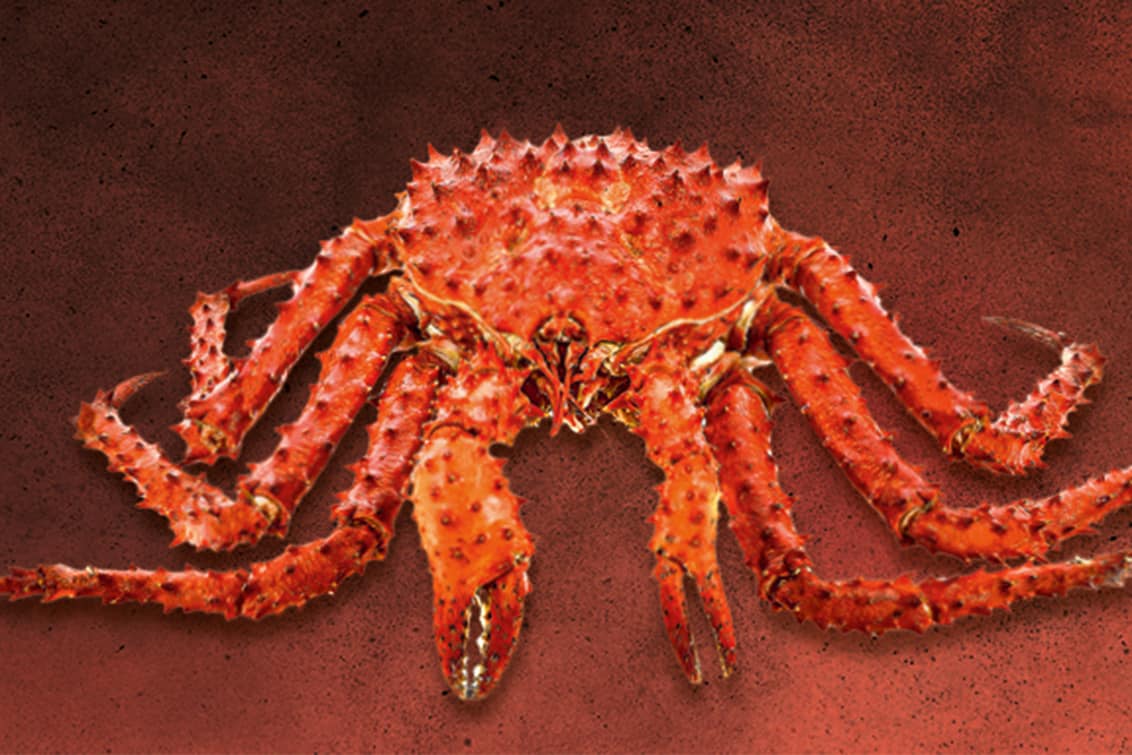 RP243-fb-crabs-4