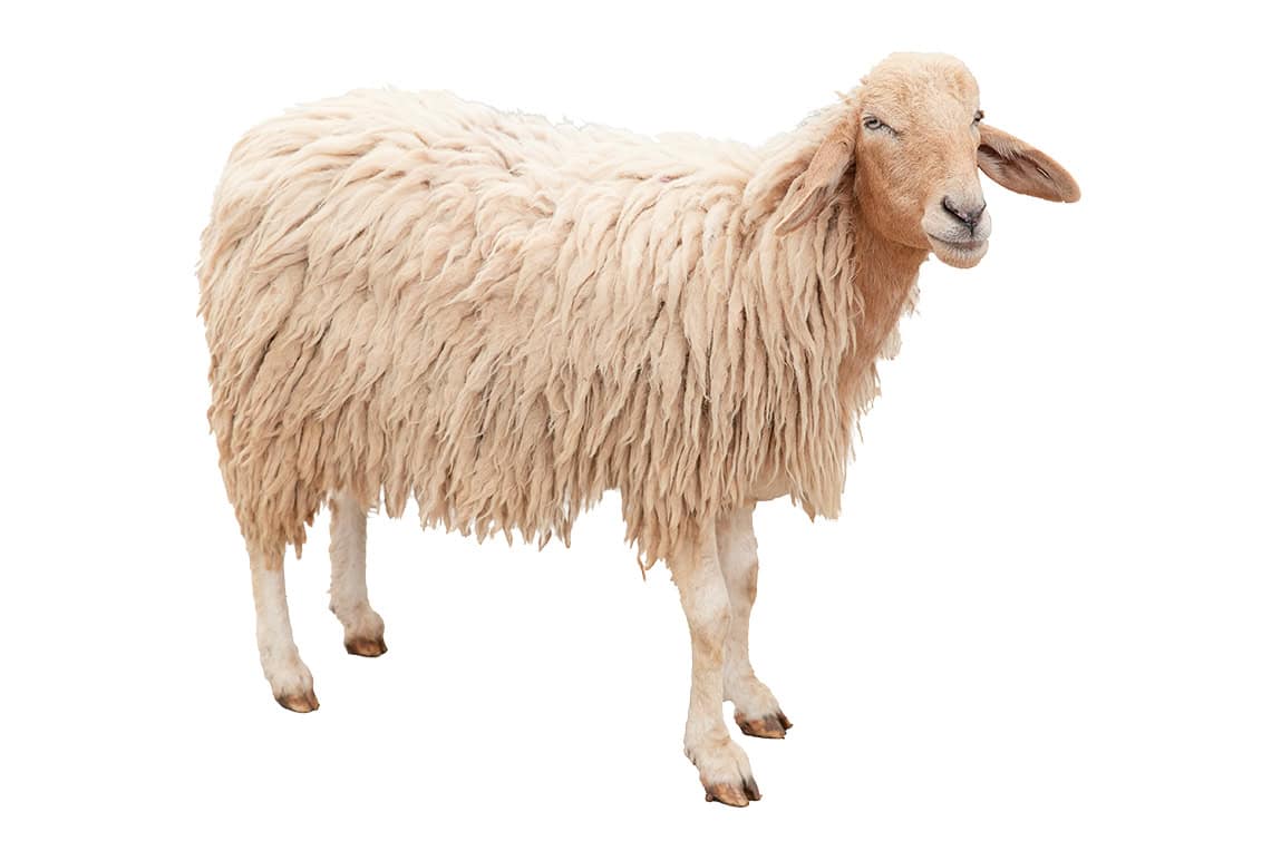 rp292-fb-glaubensfrage-19